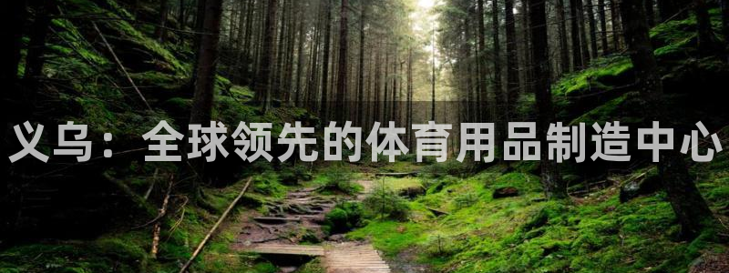 欧陆娱乐能赚钱吗现在:义乌:全球领先的体育用品制造中心